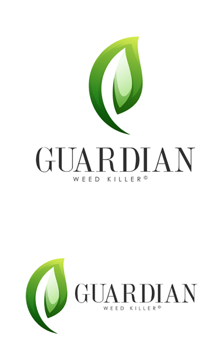Home Guardian